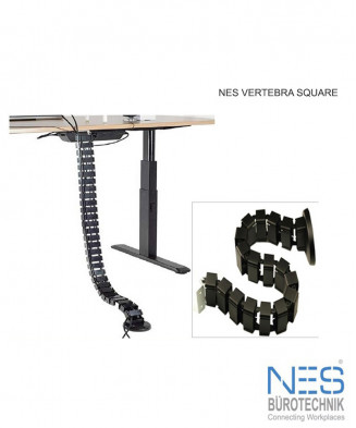 NES Vertebra Square