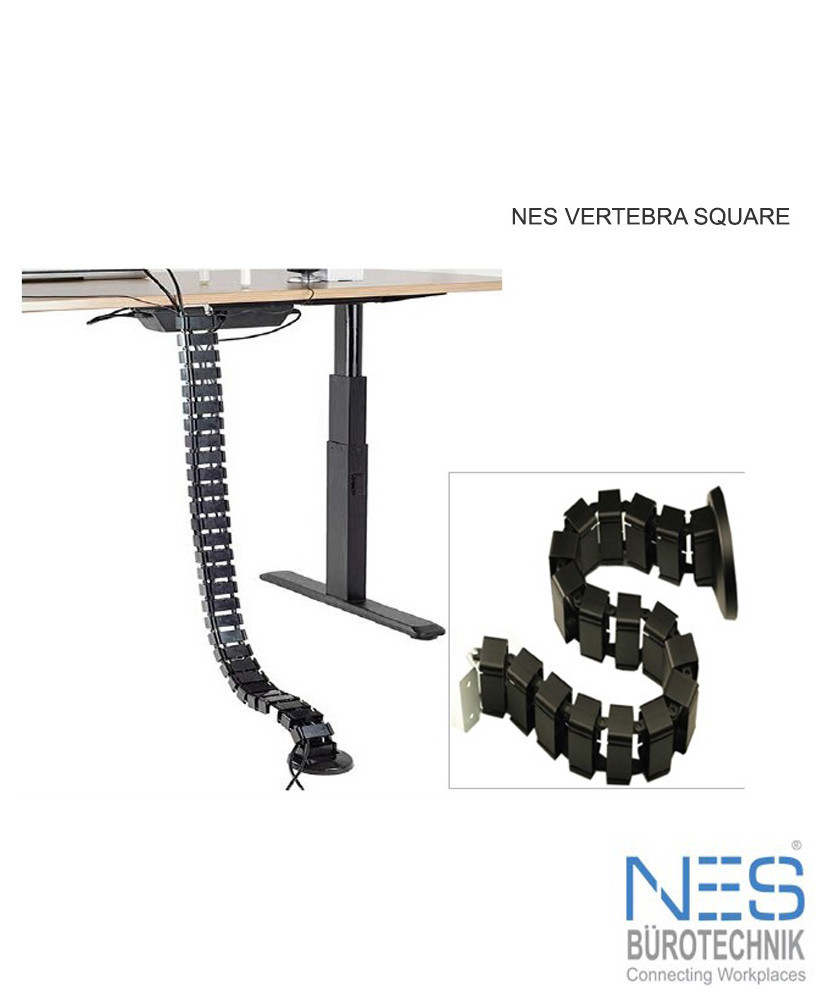 NES Vertebra Square