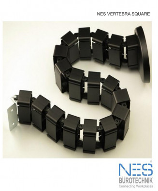 NES Vertebra Square