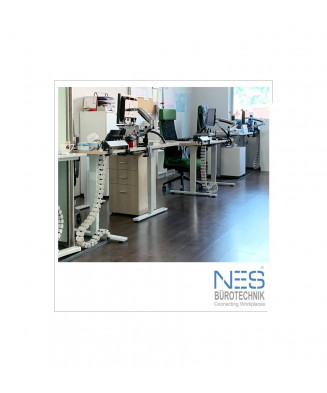 NES Vertebra Square