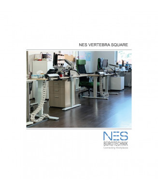 NES Vertebra Square