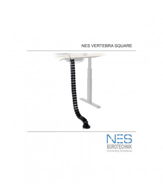 NES Vertebra Square