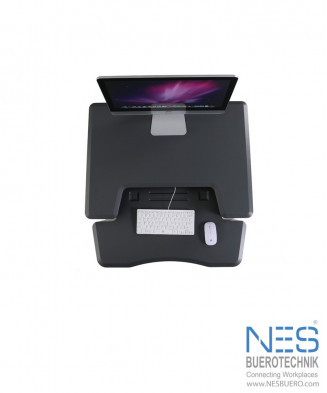 NES ERGO ECO/FIT