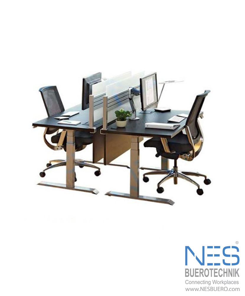 NES eDESK Double/E