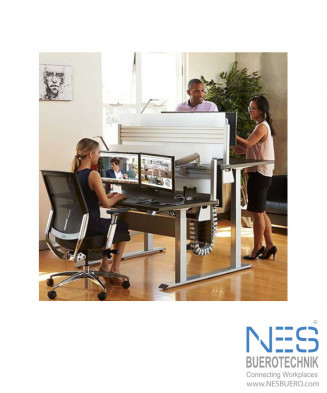 NES eDESK Double/E