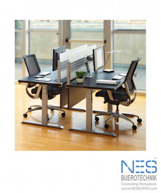 NES eDESK Double/E