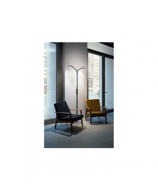 Luctra Floor