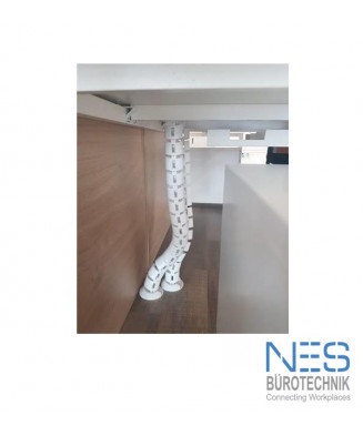 NES Vertebra Circle