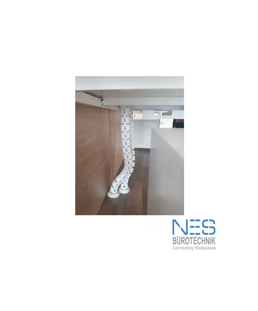 NES Vertebra Circle